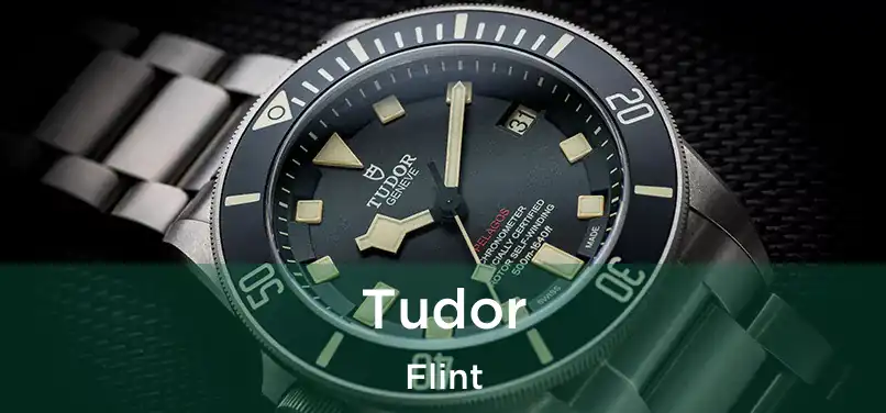 Tudor Flint