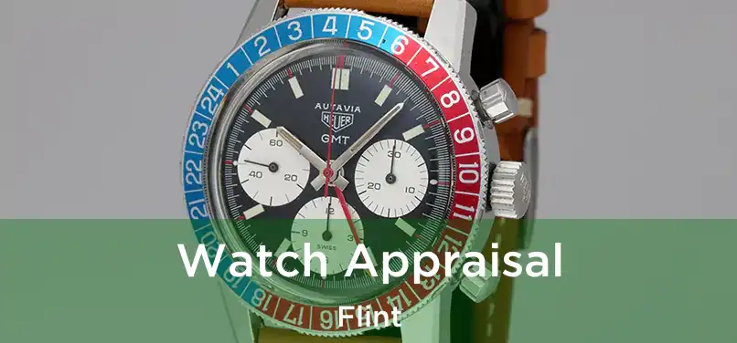  Watch Appraisal Flint