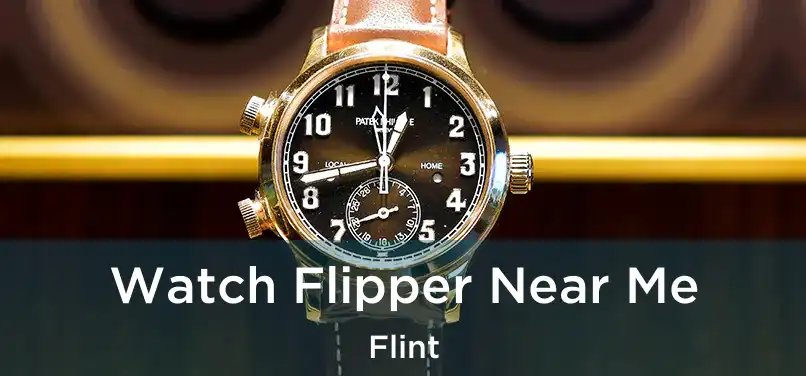  Watch Flipper Near Me Flint